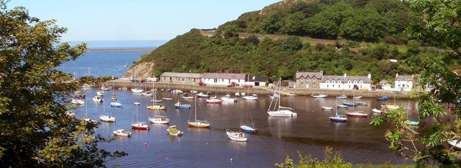 Rosebud Cottage Romantic Cottage For A Couple Fishguard Extérieur photo